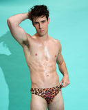 Adam L - Men's Body Brief Leopard